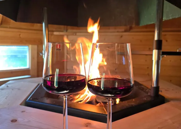 Pare فيلة روفانييمي