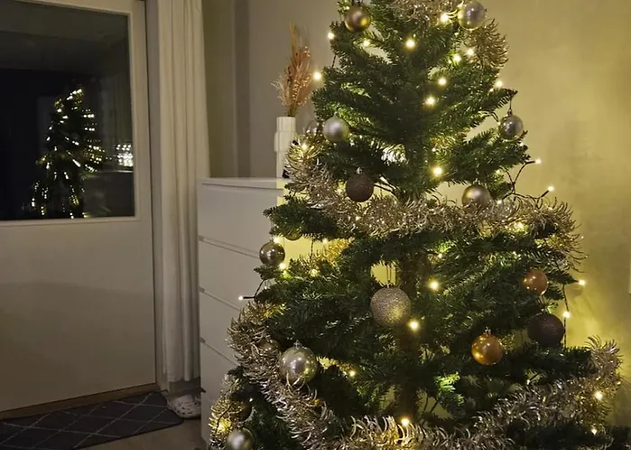 Pare فيلة روفانييمي